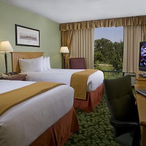 Double Room Two Double Beds